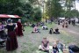 Thumbs/tn_Zaterdag Castlefest 2015 320.jpg